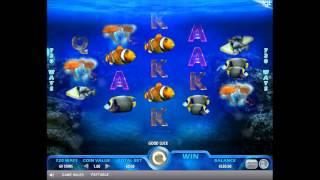 IGT Pacific Paradise Video Slot - Wild Win