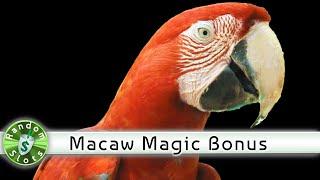 Macaw Magic slot machine, Another Bonus