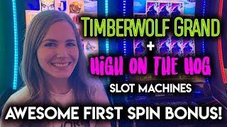 First Try and First Spin BONUS! High on The Hog Slot Machine!! Rare Re-Trigger on Timberwolf Grand!!