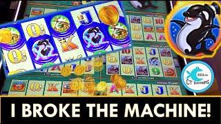 5 SYMBOL TRIGGER IS NOT A CURSE! WHALES OF CASH WONDER 4 BOOST MACHINE MALFUNCTION! HUGE WIN!!!
