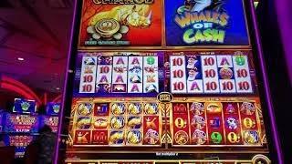 DID WE MESS UP? SHUT OUT of SUN. SLOT TOURNAMENT, NEED HELP WONDER 4 BOOST RHINO CHARGE, MIGHTY CASH