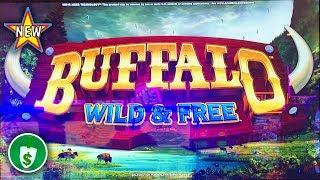 ️ New - Buffalo Wild & Free WA VLT slot machine, bonus