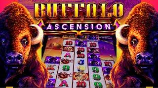 STAMPEDE DURING 3X 5X FREE SPINS! | Buffalo Ascension Slot Machine