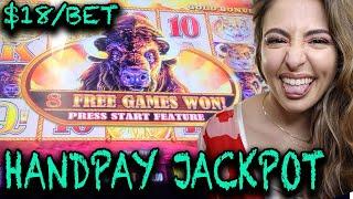 $18/BET HANDPAY JACKPOT on BUFFALO GOLD COLLECTION at Cosmo Las Vegas!