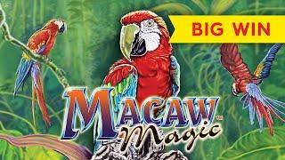 BIG WIN RETRIGGER! Macaw Magic Slot - AWESOME!