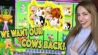 NEW PLANET MOOLAH in Vegas! We WANT our COWS BACK!