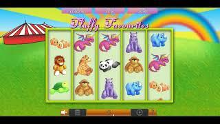 Fluffy Favourites