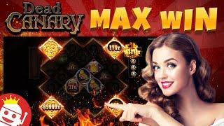 LUCKY PLAYER LANDS FIRST DEAD CANARY 65,000X MAX WIN!!