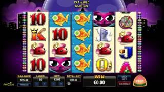 Miss Kitty free slots machine game preview by Slotozilla.com