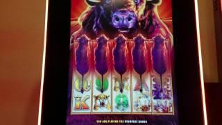 $100 Play at  Buffalo Slot Machine Max Bet