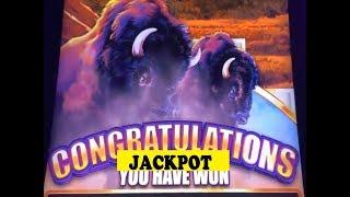 JACKPOT (HANDPAY)BUFFALO GRAND Slot machineBUFFALOOOOOOOO My 1st Handpay ! $3.00 Bet @ Cosmo LV彡