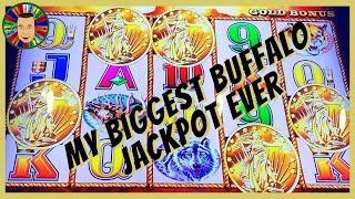 My Biggest Jackpot Ever on Buffalo Gold MUST WATCH