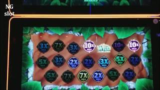 Max Bet Quick Hit Jungle Slot Machine Bonus  WON !!! ️NICE WIN️ Live Slot Play