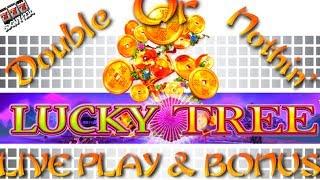 Can I Double on Lucky Tree Slot Machine? Watch and See!!