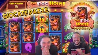 SLOT ONLINE - Giocate pazze alla THE DOG HOUSE MEGAWAYS