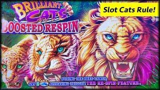 Ultimate Fire Link  Brilliant Cats  The Slot Cats