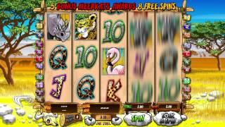 Wild Gambler slot by AshGaming video game preview