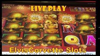 88 Fortunes - Live Play – Great Bonuses & Line Hits - Go Turtles!