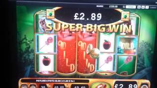 Ruby Slippers quick Super big win - low stake