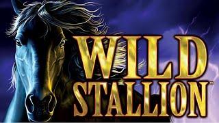 15X MULTIPLIER! Wild Stallion Slot - NICE SESSION, LOVE IT!