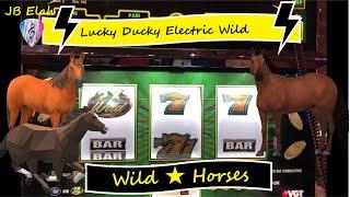 VGT LUCKY DUCKY ELECTRIC WILDS "JACKPOT" $$$ HANDPAY BEST FREE  SPINS  JB Elah Slot Channel Choctaw