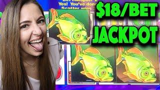 $18/BET HANDPAY JACKPOT on Brazil Slot Machine at Tampa Hard Rock!