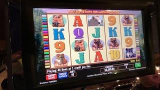 High Dollar Quick Hit Live Slot Machine Play | The Big Jackpot