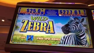 WILD ZEBRA - BONUS and PROGRESSIVE - South Point Casino