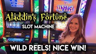 Aladdin's Fortune Slot Machine! Max Bet! Nice Win!!