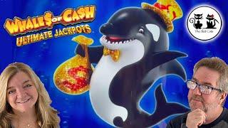 NEW SLOT MACHINE! $20 TUESDAY - WHALES OF CASH ULTIMATE JACKPOTS!!