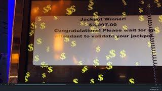 Lucky Duck Slot Machine Jackpot