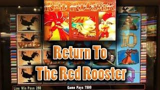 The Raja Returns To The Red Rooster  | The Big Jackpot