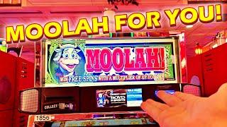 YOU WANT SOME MOOLAH??!? * I GOT YOU SOME MOOLAH!!! - Special 100 Day Moolah Episode For Brian