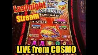 LIVE @ THE COSMOPOLITAN