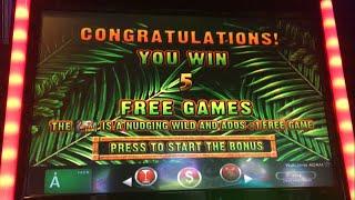 Jungle Riches Max Bet Bonus - Slot Machine Stalking