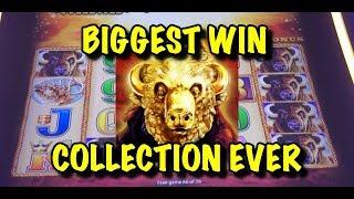 BIGGEST BUFFALO GOLD BIG WIN COLLECTION EVER (maybe)!