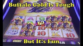 Buffalo Gold |  More Buffalo Fun at MGM National Harbor