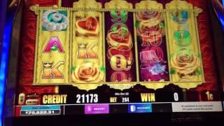 Pure Diamonds Good Fortune Slot Machine -- Bonus and Live Play