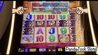 This machine JUST hit 15 Gold Buffalo Heads!