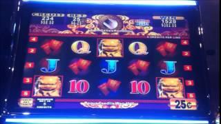 LIONS LAW "25 CENT SLOT MACHINE" BIG WIN PLUS PIC OF WIFE'S JACKPOT!