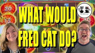 WHAT WOULD FRED CAT DO? PLAYING DOLLAR STORM & GOLDEN FIRE LINK SLOT MACHINES FOR THE WIN!!