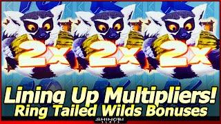 Ring Tailed Wilds Slot Machine - Lining Up Multipliers! Live Play, Nice Line Hits and Bonuses