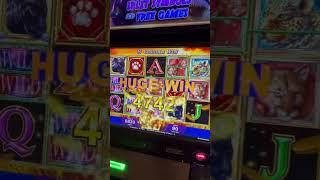 WOW Huge Jackpot On Slot Machine At $90 MAX BET