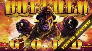 Buffalo Gold Viewer Request  The Slot Cats