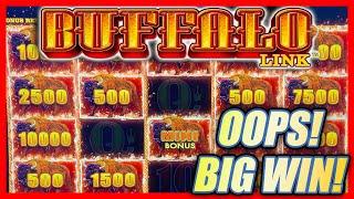 OOPS! I WAS CHECKING FOR BUFFALOS AND IT MADE A BET    LANDED MY BIGGEST WIN ON BUFFALO LINK!
