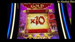 BIG WIN at AllFortune King Gold, Timber Wolf, Amazing Money Machine, Pechanga Casino, Akafujislot
