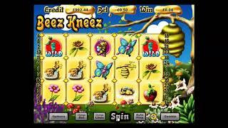 Beez Kneez - Vegas Paradise Casino