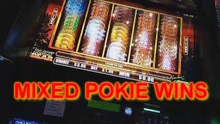 mixed pokie wins $1 BLACK BEAR Mighty coins and a few more