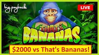 $2000 vs That's Bananas - LIVE SLOTS S1: Ep. 2 | The Big Payback