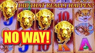 How Many Heads at Once?? WOW!  Buffalo Gold Tall Fortunes BIG WINS! | Casino Countess